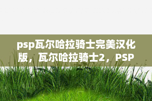 psp瓦尔哈拉骑士完美汉化版，瓦尔哈拉骑士2，PSP上的经典角色扮演游戏