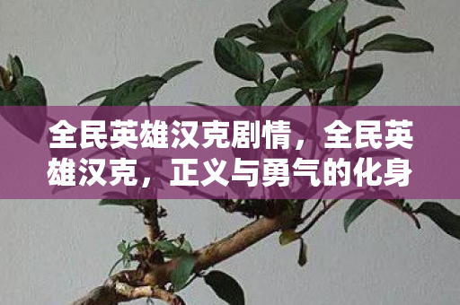 全民英雄汉克剧情，全民英雄汉克，正义与勇气的化身