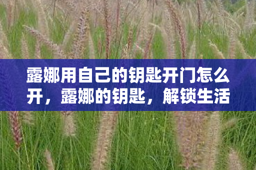 露娜用自己的钥匙开门怎么开，露娜的钥匙，解锁生活的秘密