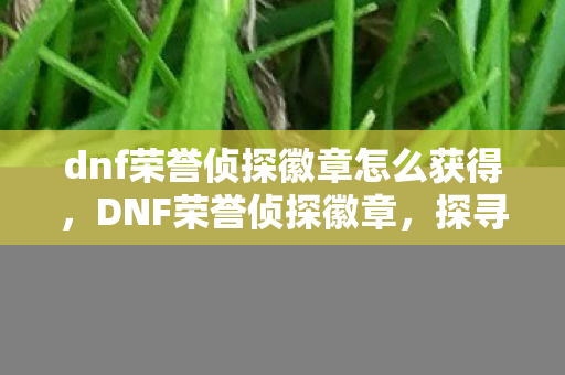 dnf荣誉侦探徽章怎么获得，DNF荣誉侦探徽章，探寻游戏内的荣耀象征