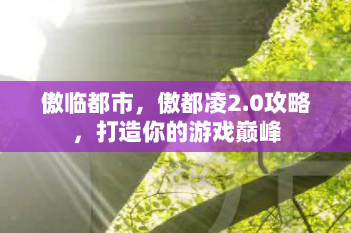 傲临都市，傲都凌2.0攻略，打造你的游戏巅峰