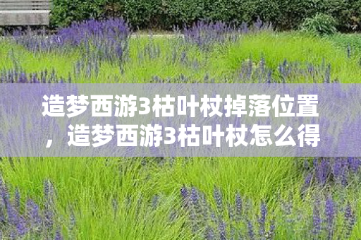 造梦西游3枯叶杖掉落位置，造梦西游3枯叶杖怎么得