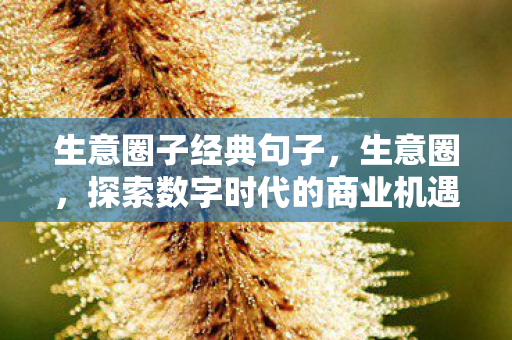 生意圈子经典句子，生意圈，探索数字时代的商业机遇
