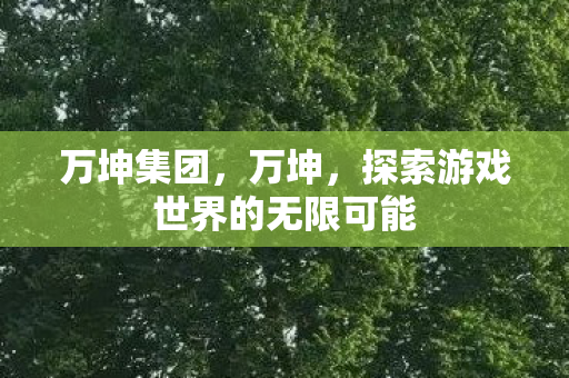 万坤集团，万坤，探索游戏世界的无限可能