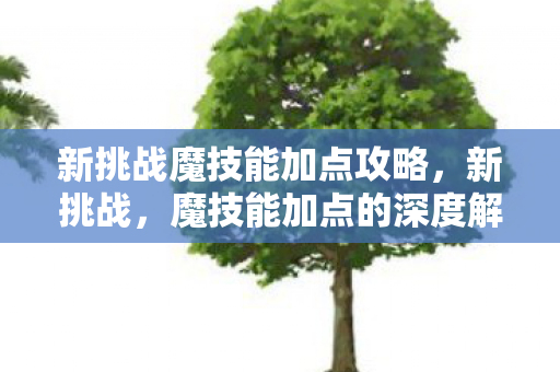 新挑战魔技能加点攻略，新挑战，魔技能加点的深度解析与策略