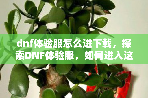 dnf体验服怎么进下载，探索DNF体验服，如何进入这个独特游戏世界