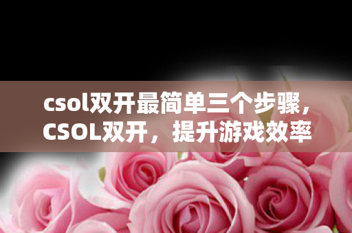 csol双开最简单三个步骤，CSOL双开，提升游戏效率与乐趣的实用技巧