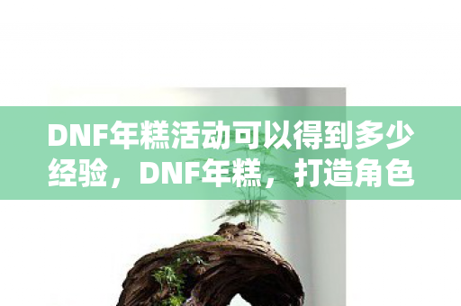 DNF年糕活动可以得到多少经验，DNF年糕，打造角色新境界的必备神器