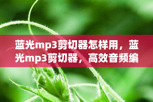 蓝光mp3剪切器怎样用，蓝光mp3剪切器，高效音频编辑工具