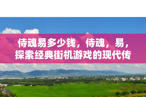 侍魂易多少钱，侍魂，易，探索经典街机游戏的现代传承