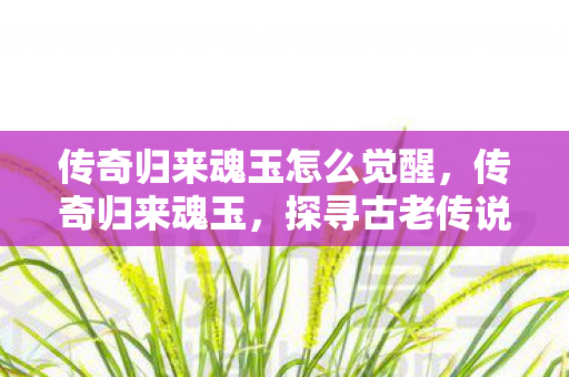 传奇归来魂玉怎么觉醒，传奇归来魂玉，探寻古老传说的神秘力量
