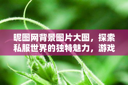 昵图网背景图片大图，探索私服世界的独特魅力，游戏爱好者的另类选择