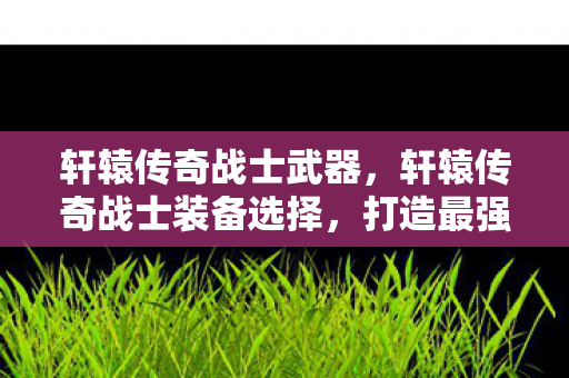 轩辕传奇战士武器，轩辕传奇战士装备选择，打造最强战士的必备神器
