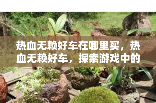 热血无赖好车在哪里买，热血无赖好车，探索游戏中的豪华座驾