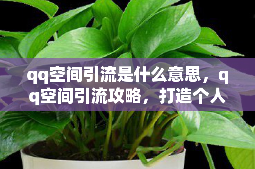 qq空间引流是什么意思，qq空间引流攻略，打造个人品牌，吸引精准流量