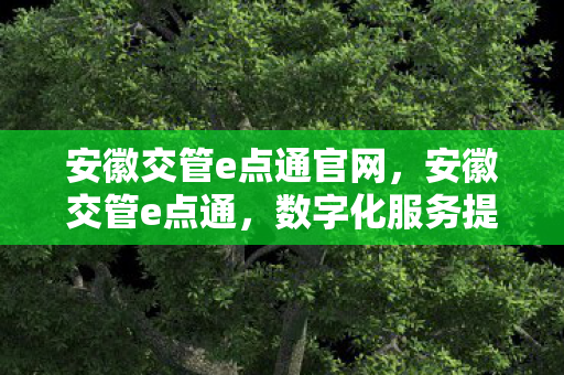 安徽交管e点通官网，安徽交管e点通，数字化服务提升交通管理效率