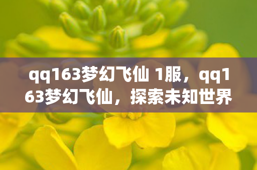 qq163梦幻飞仙 1服，qq163梦幻飞仙，探索未知世界的奇幻之旅