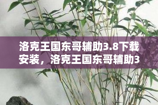 洛克王国东哥辅助3.8下载安装，洛克王国东哥辅助3.8下载，提升游戏体验的必备工具