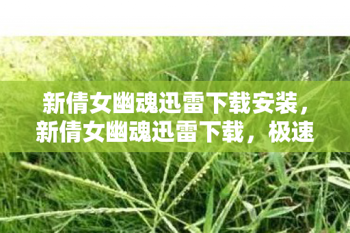 新倩女幽魂迅雷下载安装，新倩女幽魂迅雷下载，极速体验与官方授权的完美融合