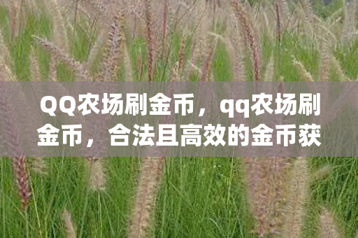 QQ农场刷金币，qq农场刷金币，合法且高效的金币获取攻略