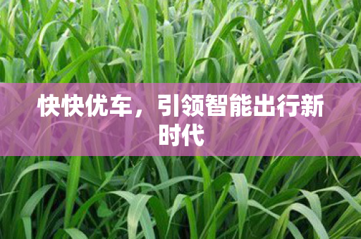 快快优车，引领智能出行新时代