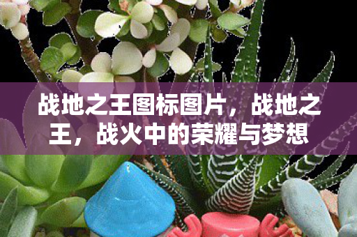 战地之王图标图片，战地之王，战火中的荣耀与梦想