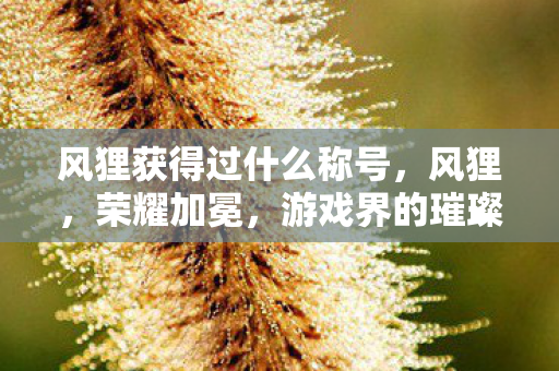 风狸获得过什么称号，风狸，荣耀加冕，游戏界的璀璨之星
