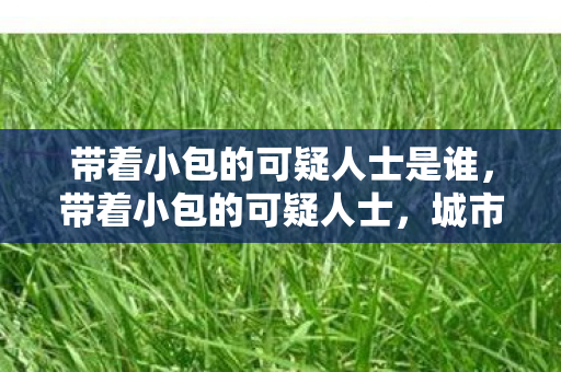 带着小包的可疑人士是谁，带着小包的可疑人士，城市中的隐秘行者