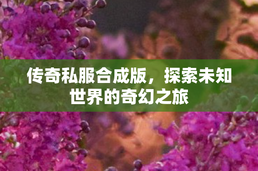 传奇私服合成版，探索未知世界的奇幻之旅