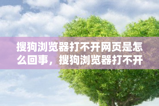 搜狗浏览器打不开网页是怎么回事，搜狗浏览器打不开网页，深度解析浏览器故障背后的原因与解决方案