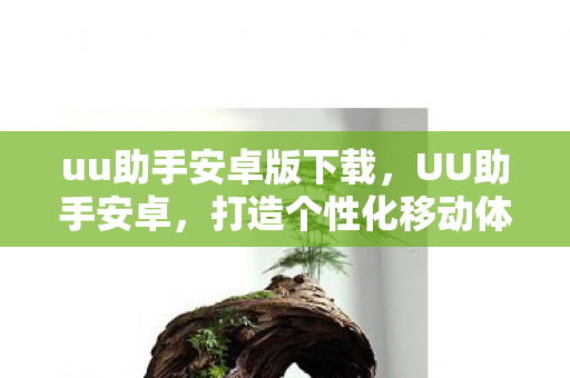 uu助手安卓版下载，UU助手安卓，打造个性化移动体验的新选择