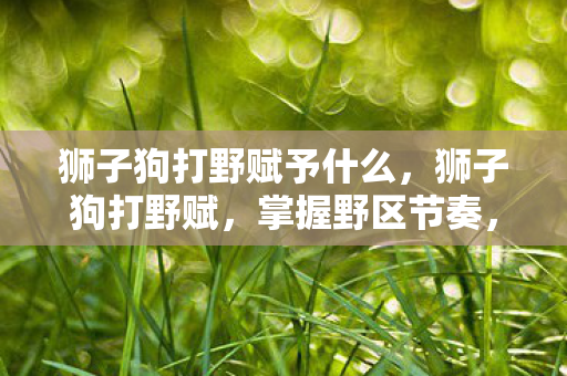 狮子狗打野赋予什么，狮子狗打野赋，掌握野区节奏，成为不败王者