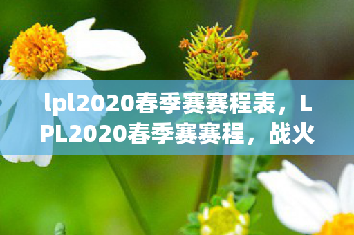 lpl2020春季赛赛程表，LPL2020春季赛赛程，战火重燃，群雄逐鹿