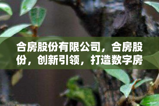 合房股份有限公司，合房股份，创新引领，打造数字房产新生态