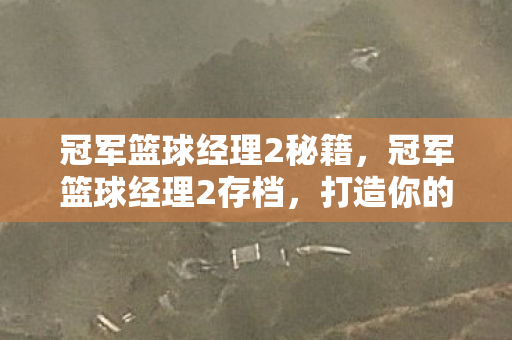 冠军篮球经理2秘籍，冠军篮球经理2存档，打造你的梦幻阵容