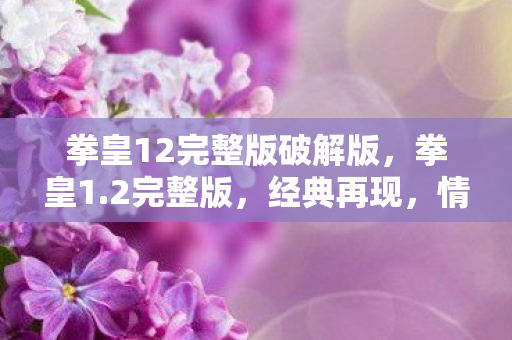 拳皇12完整版破解版，拳皇1.2完整版，经典再现，情怀与创新的完美融合