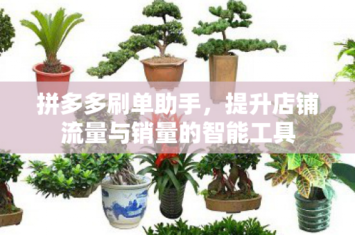 拼多多刷单助手，提升店铺流量与销量的智能工具