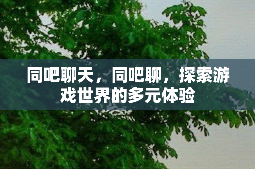 同吧聊天，同吧聊，探索游戏世界的多元体验