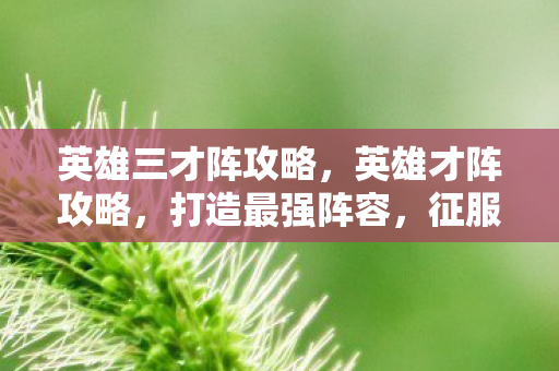 英雄三才阵攻略，英雄才阵攻略，打造最强阵容，征服战场！