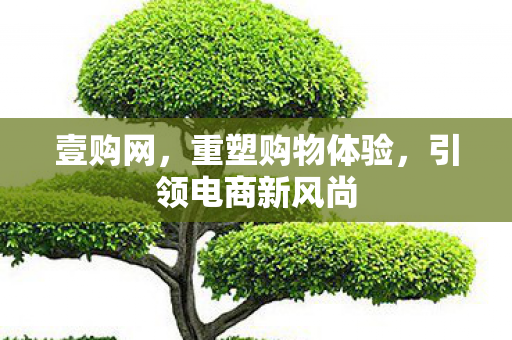 壹购网，重塑购物体验，引领电商新风尚