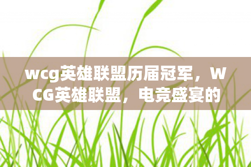 wcg英雄联盟历届冠军，WCG英雄联盟，电竞盛宴的荣耀与挑战