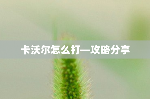 卡沃尔怎么打—攻略分享