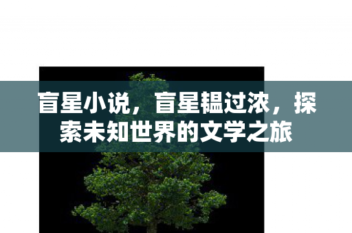 盲星小说，盲星韫过浓，探索未知世界的文学之旅