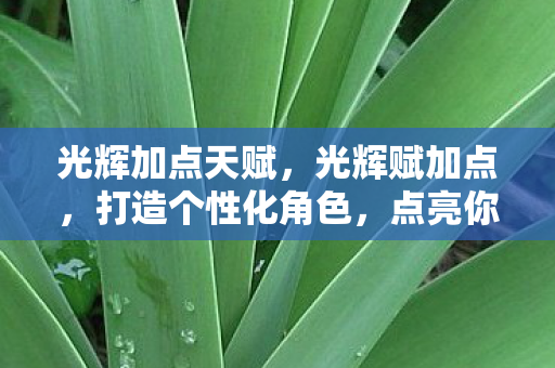 光辉加点天赋，光辉赋加点，打造个性化角色，点亮你的传奇之路