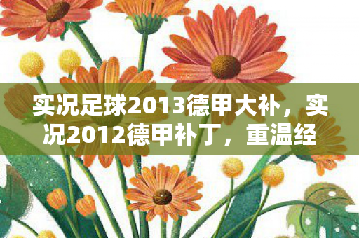实况足球2013德甲大补，实况2012德甲补丁，重温经典，提升游戏体验