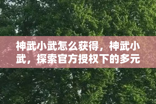 神武小武怎么获得，神武小武，探索官方授权下的多元游戏体验