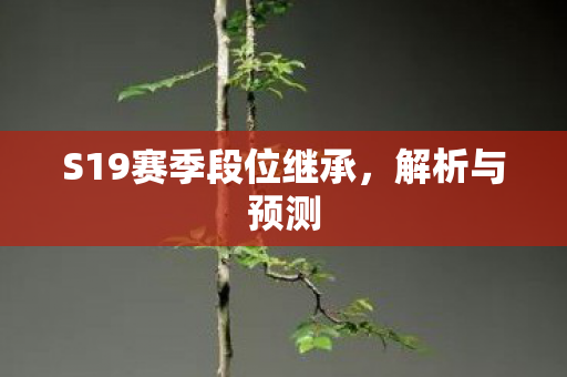 S19赛季段位继承,解析与预测 S19赛季段位继承,解析与预测