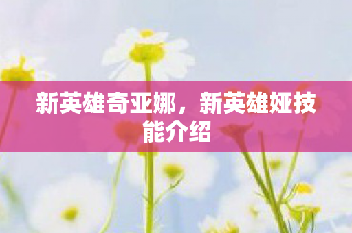 新英雄奇亚娜，新英雄娅技能介绍