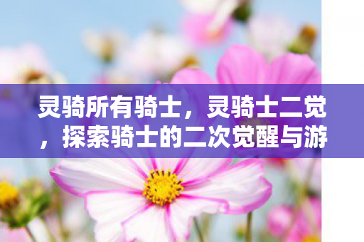 灵骑所有骑士，灵骑士二觉，探索骑士的二次觉醒与游戏新境界