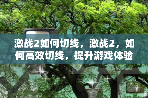 激战2如何切线，激战2，如何高效切线，提升游戏体验